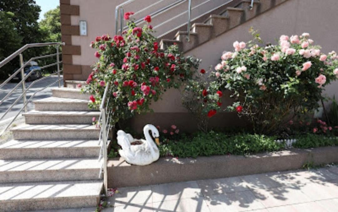 Rooms Odmaraliste Jablan Сен Екстериор снимка